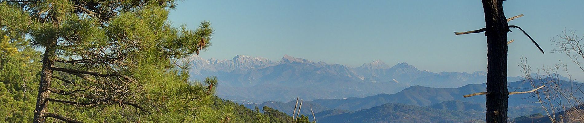 Tocht Te voet Carrodano - Case Arsina - Carrodano Superiore - Casa Fogona - Mattarana - Monte Gruzze - Photo