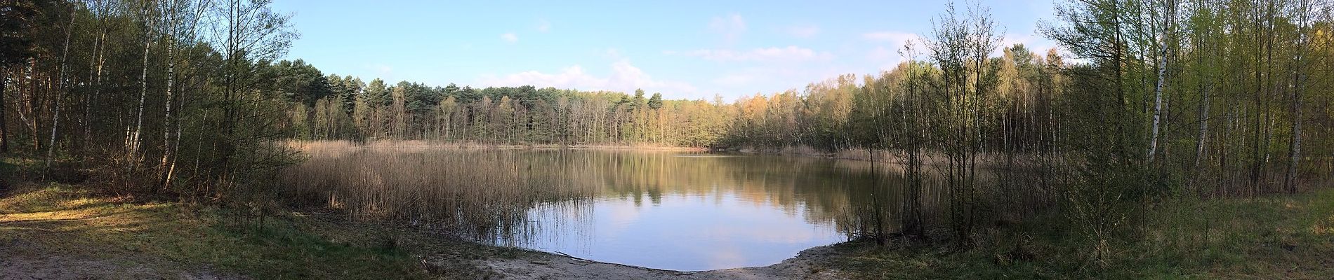 Tour Zu Fuß Teupitz - Schweriner Rundwanderweg - Photo