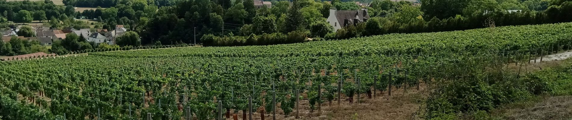 Randonnée V.T.T. Château-Thierry - Sortie du 27/08/2022 - Photo