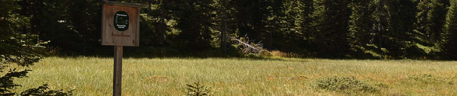 Tour Zu Fuß Rodeneck - Wanderweg 2A - Lüsen - Photo