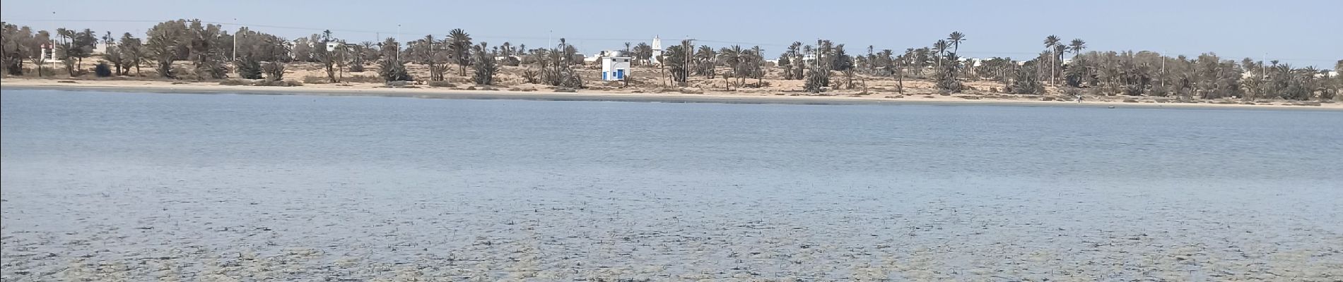 Tour Wandern Unknown - l'île aux oiseaux par temps de lagune très basse - Photo