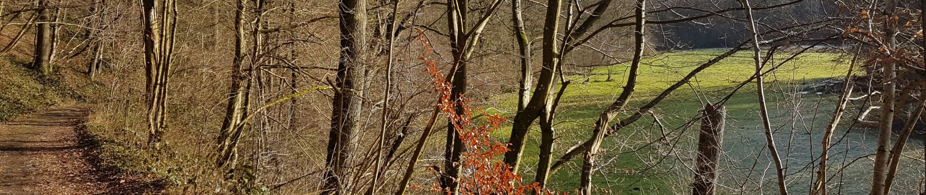 Trail Walking Beaumont - Renlies- Solre St Géry - Photo