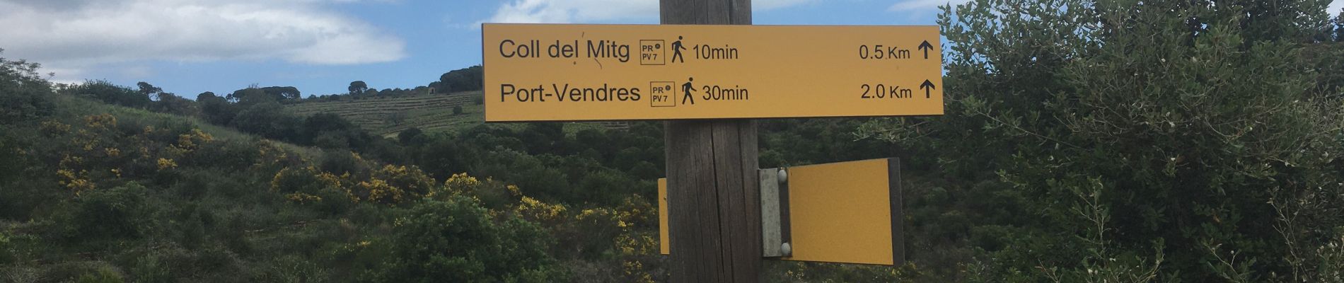 Tocht Stappen Port-Vendres - Per Vendres /St Elme / col d’en Reixat - Photo