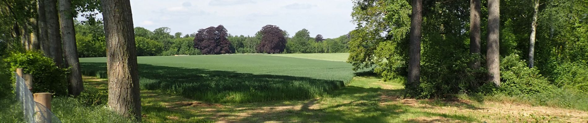 Punto di interesse Chaumont-Gistoux - Vue ouest en direction du domaine du Château de Vieusart - Photo