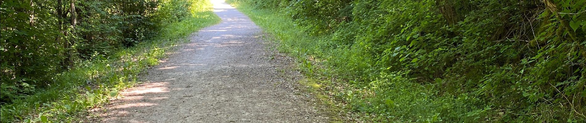 Tour Mountainbike Vabres-l'Abbaye - St jean D’acapies - Photo