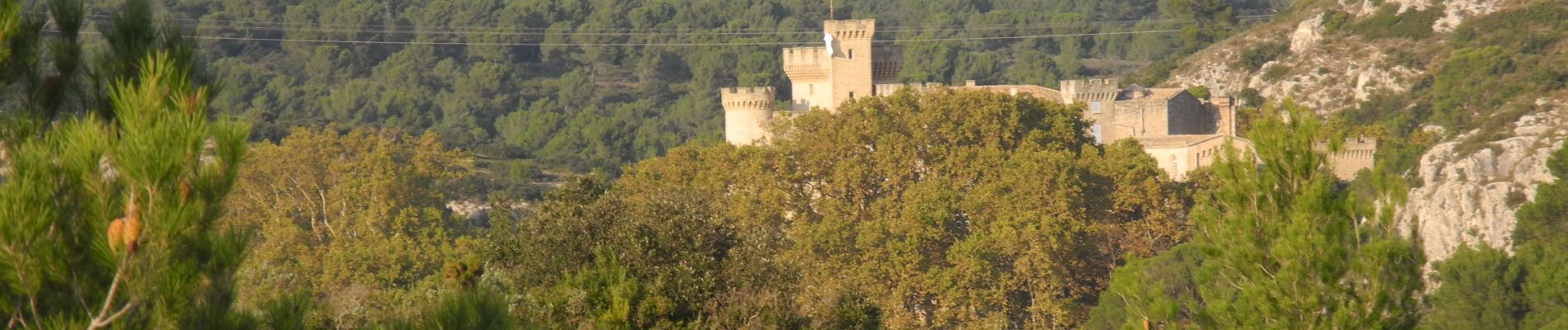 Tocht Stappen La Barben - PF-La Barben - Vallon de l'Apothicaire - Photo