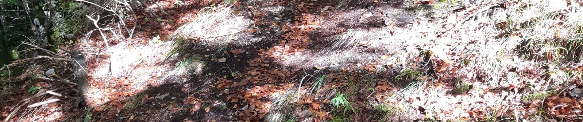 Excursión Senderismo Rencurel - 26 pas ferrière valchevriere - Photo