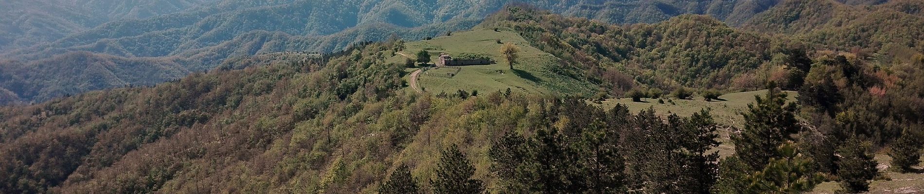 Percorso A piedi Bagno di Romagna - Da Ridracoli a San Paolo in Alpe per la valle del Rio Bacine - Photo