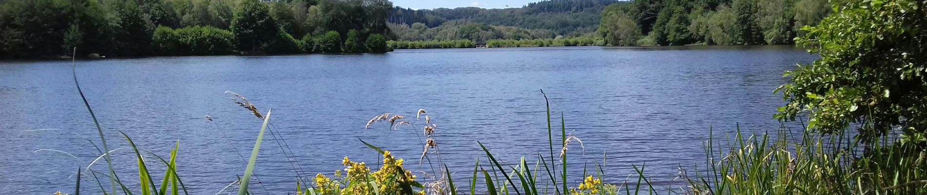 Randonnée Marche Champeau-en-Morvan - Tour du lac de Chamboux  - Photo