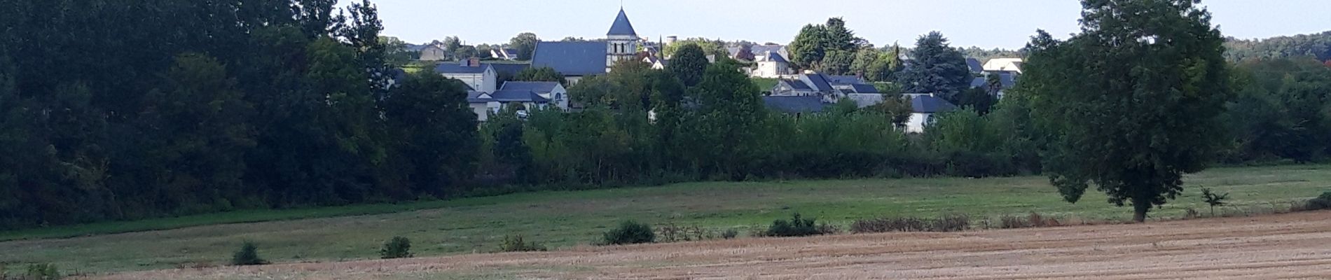 Randonnée Marche Les Ulmes - les ulmes vignes - Photo