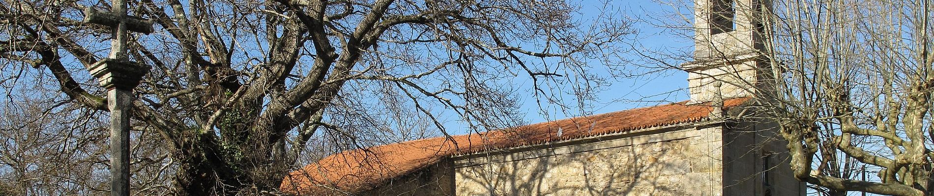 Tour Zu Fuß Teo - Roteiro da batalla de cacheiras - Photo