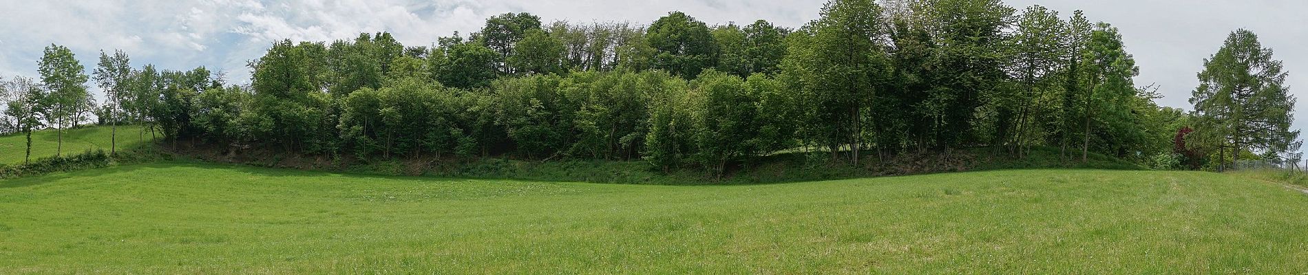 Percorso A piedi Bensheim - Rundwanderweg Bensheim Bordmühle 3: Alpengassen-Weg - Photo