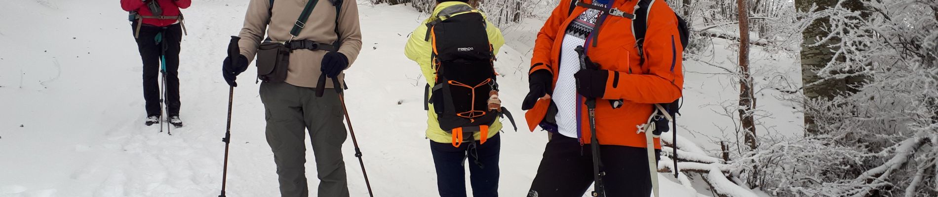 Tocht Stappen Seyssinet-Pariset - Plateau Charvet et cabane de Laura en circuit - Photo