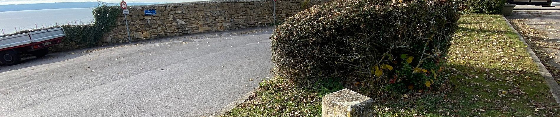 Tocht Te voet Neuchâtel - Enges - Chemin de la Châtelainie - Photo