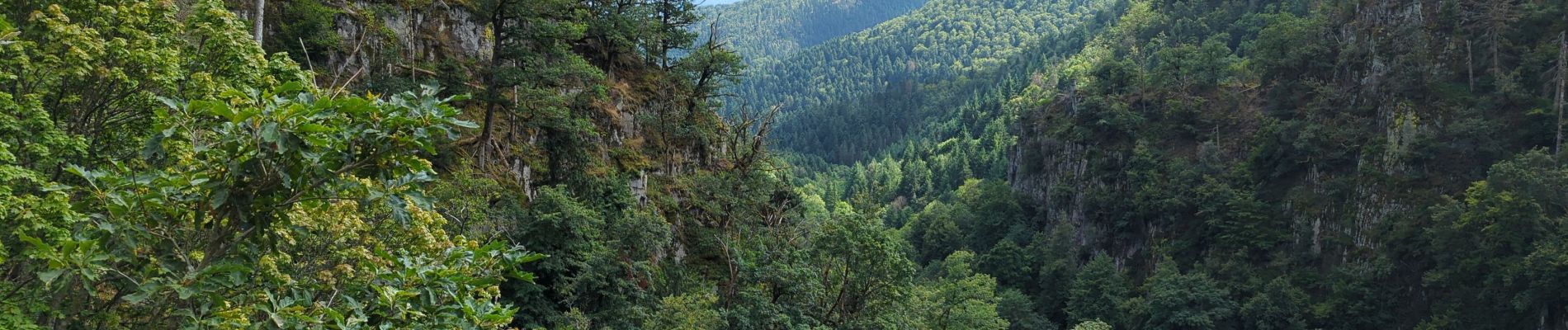 Tour Wandern Oberhaslach - cascade du Nideck - Photo