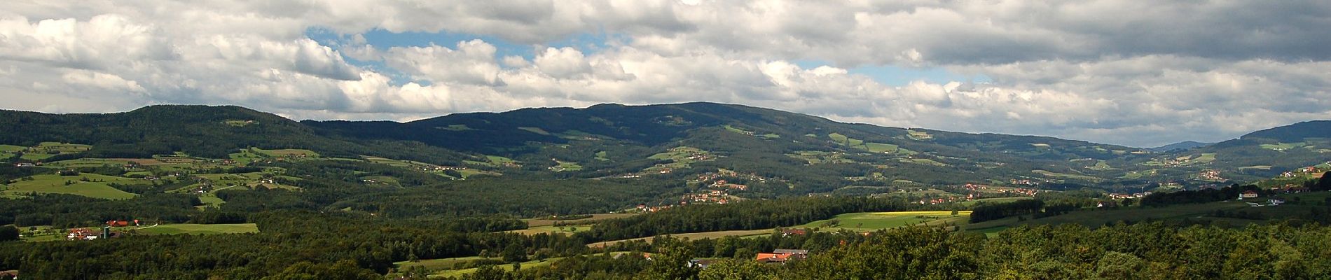 Percorso A piedi Pöllau - Wanderweg 14 - Photo