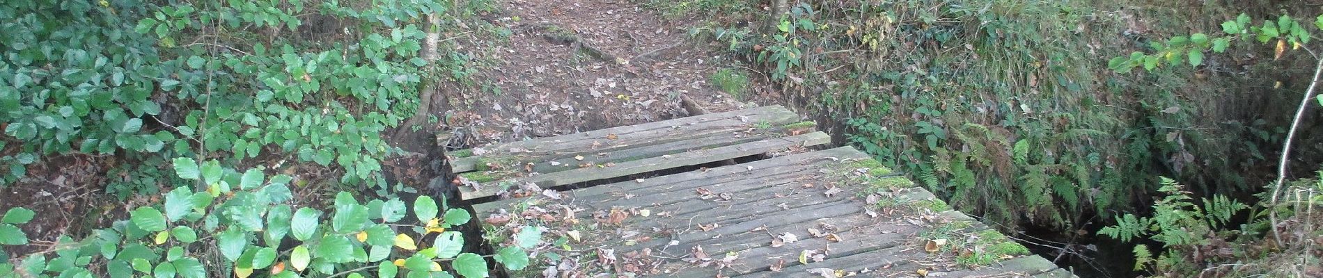 Tour Zu Fuß Hamminkeln - Klausenhof Rundweg A4 - Photo