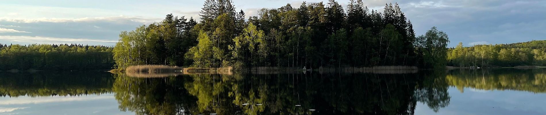 Tocht Te voet Unknown - Åkulla bokskogar - Yasjöstigen - Photo