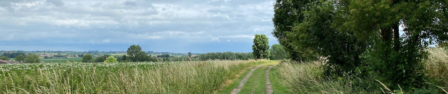 Tocht Stappen Heuvelland - Nieuwekerke Bailleul 17,5 km - Photo