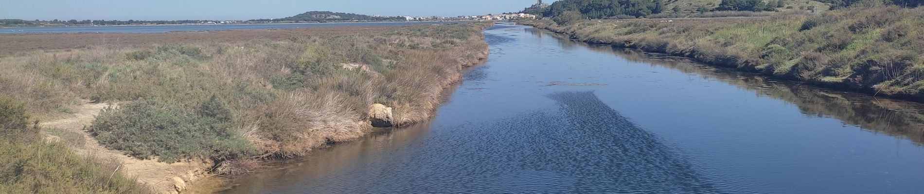 Excursión Senderismo Gruissan - Gruissan - Photo