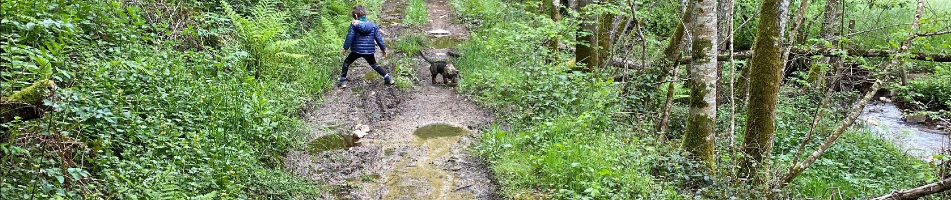 Percorso Marcia Camboulazet - Le ruisseau en botte - Photo