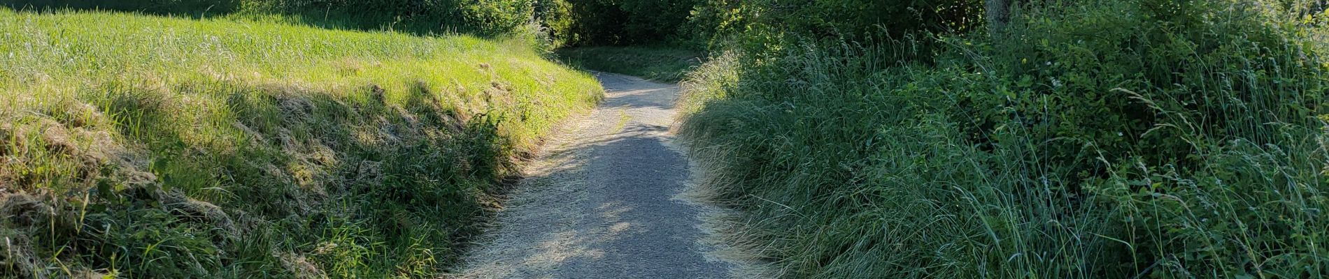 Trail Walking Saulny - lorry - Photo