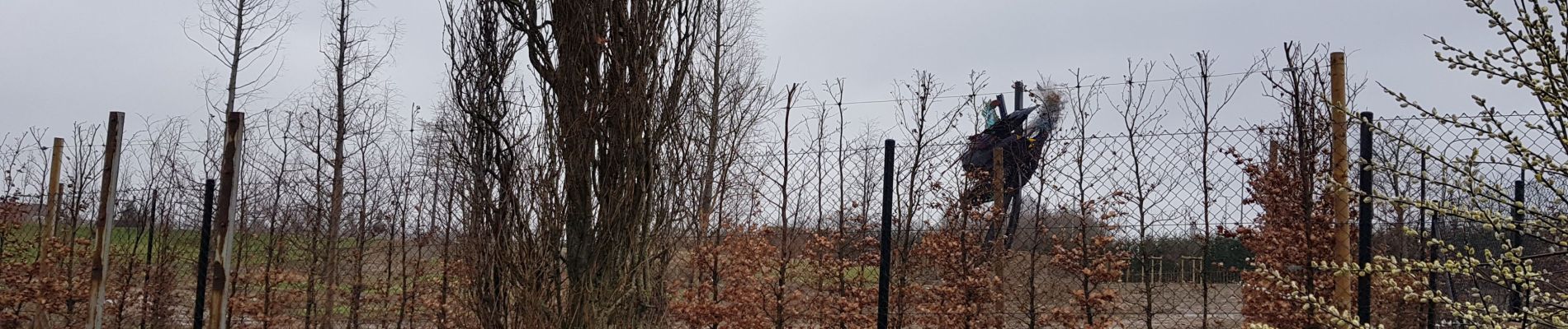 Tocht Stappen Luik - Rocourt >Ste Walburge > Rocourt  - Photo