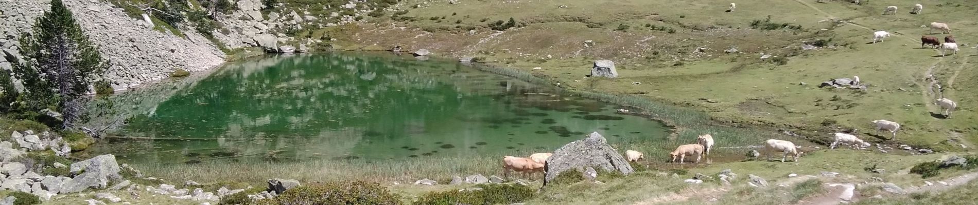 Randonnée Marche Saint-Lary-Soulan - 2020-07-30 : col de portet - lac du port de bielh - Photo