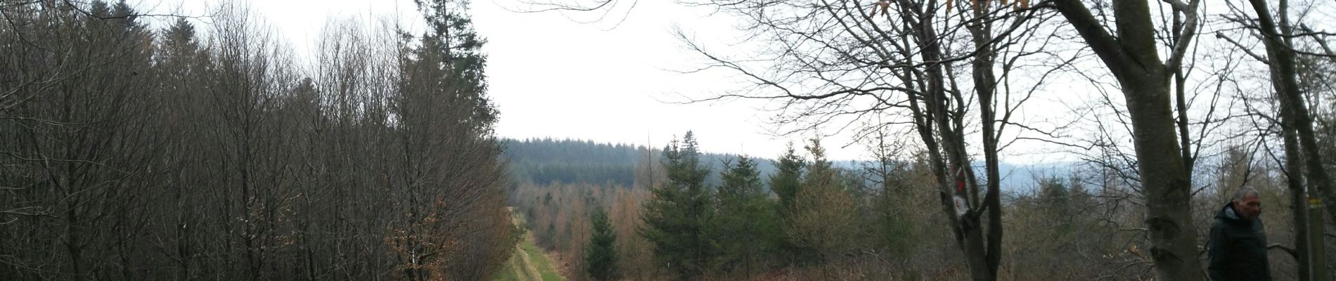 Tour Wandern La Roche-en-Ardenne - La Roche n 8 - Photo