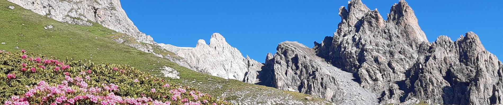 Randonnée Marche Névache - Cerces  - Photo