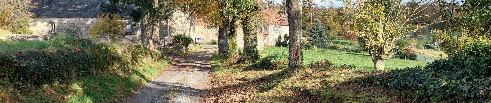 Tocht Stappen Folles - Folles - Le chemin des blaireaux - Photo