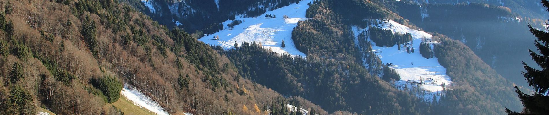 Trail On foot Montreux - Sentier des Narcisses - Photo