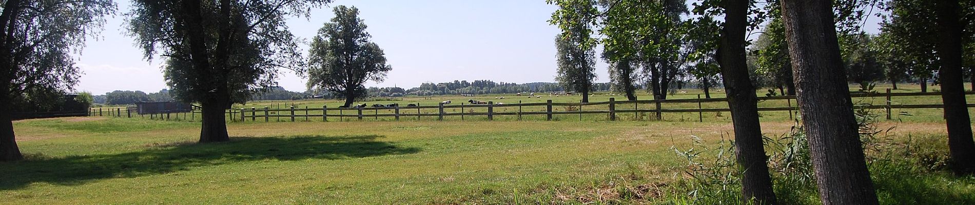 Tour Zu Fuß Wassenaar - Rood - Photo