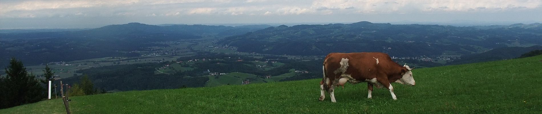 Excursión A pie Podvelka - Za srce (Kapla) - Photo