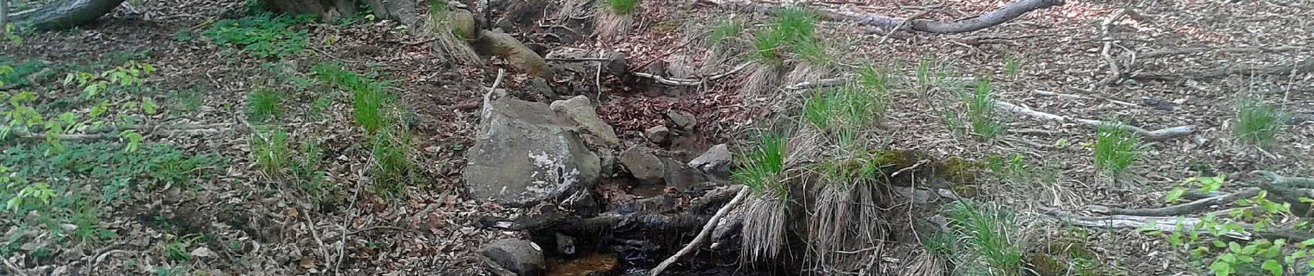 Randonnée A pied Quedlinburg - Grüner Balken Gernrode Bremer Teich Selketal - Photo