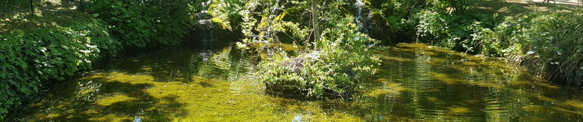 Tour Wandern Verneuil-sur-Seine - les clairieres de Verneuil - Photo