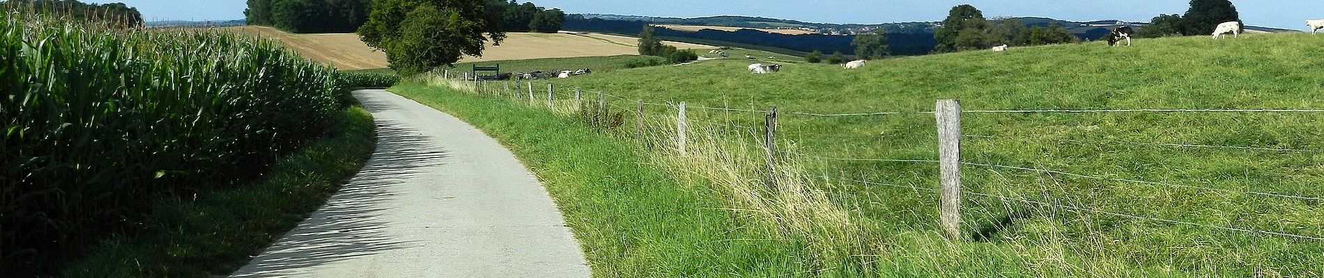 Percorso A piedi Dinant - Promenade de Walzin - Photo