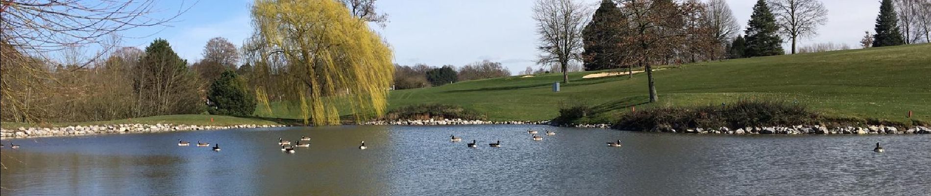 Punto di interesse Villers-la-Ville - Vue sud-ouest sur un des étangs du golf de Rigenée - Photo