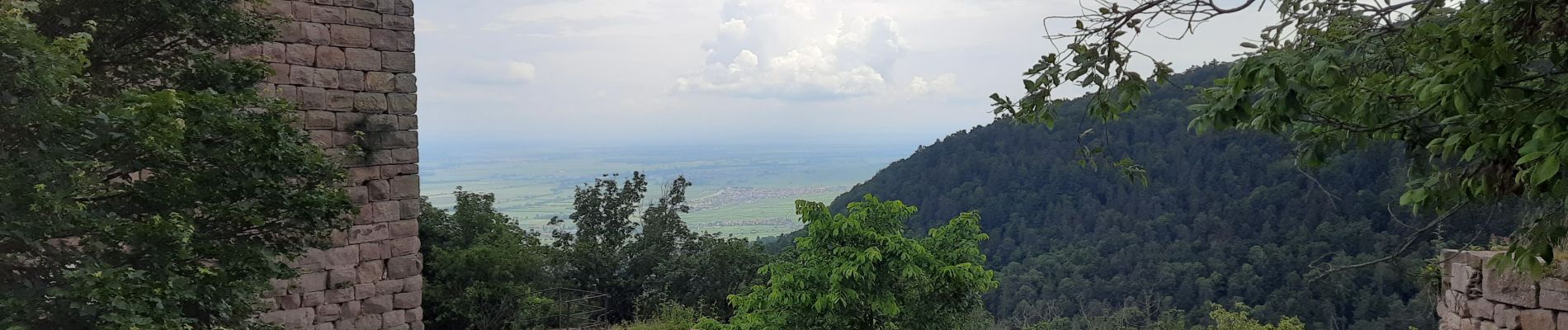 Percorso Marcia Eguisheim - Les 3 châteaux d'Eguisheim - Photo