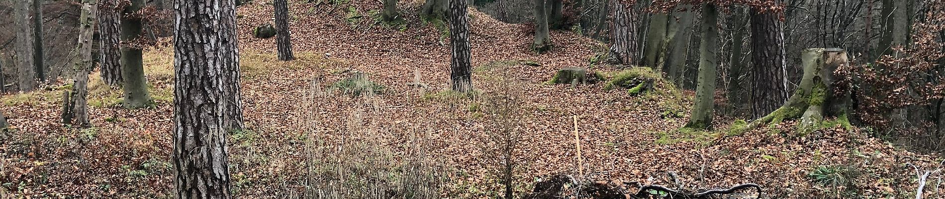 Percorso A piedi Berg am Irchel - Irchel Hochwacht - Tüfels Chanzle - Photo