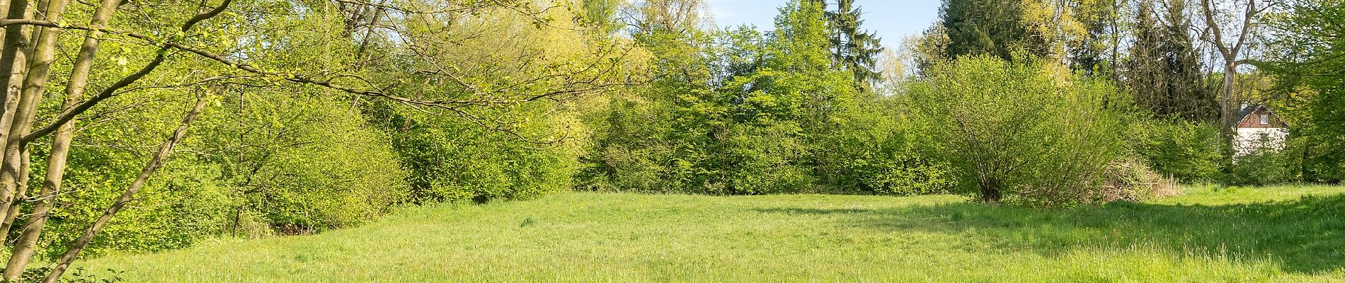 Trail On foot Horn-Bad Meinberg - Oh! 8 - KinderErlebniswelt Natur - Photo