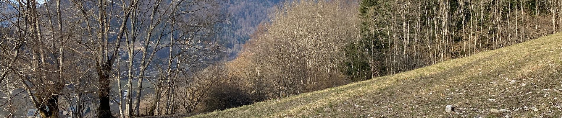 Excursión Senderismo Aillon-le-Jeune - Petit circuit découverte aillon le jeune - Photo