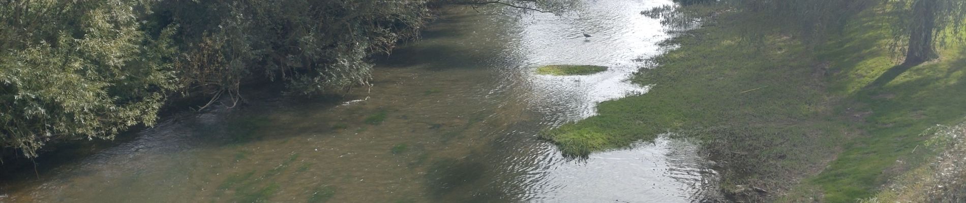 Percorso Mountainbike Chablis - Tacot de l'yonne le long du Serein - Photo