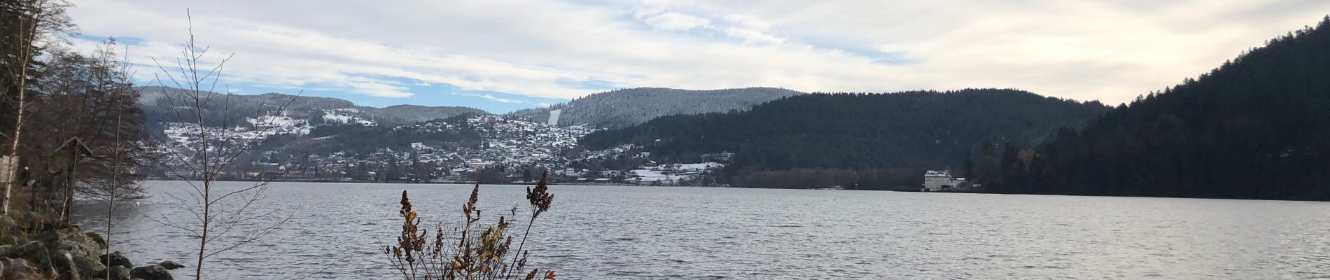 Trail Walking Gérardmer - Ventron lac Gerardmer - Photo