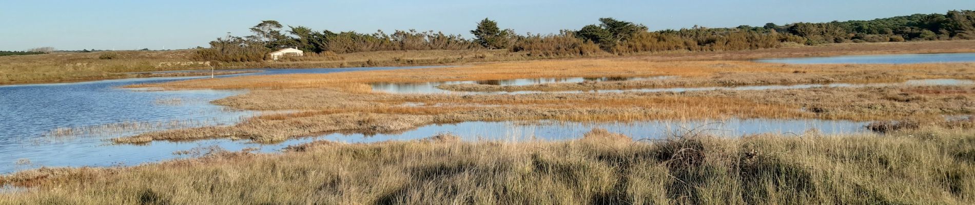 Percorso Marcia Bretignolles-sur-Mer - Auzance par le bord de mer retour par la dune - Photo