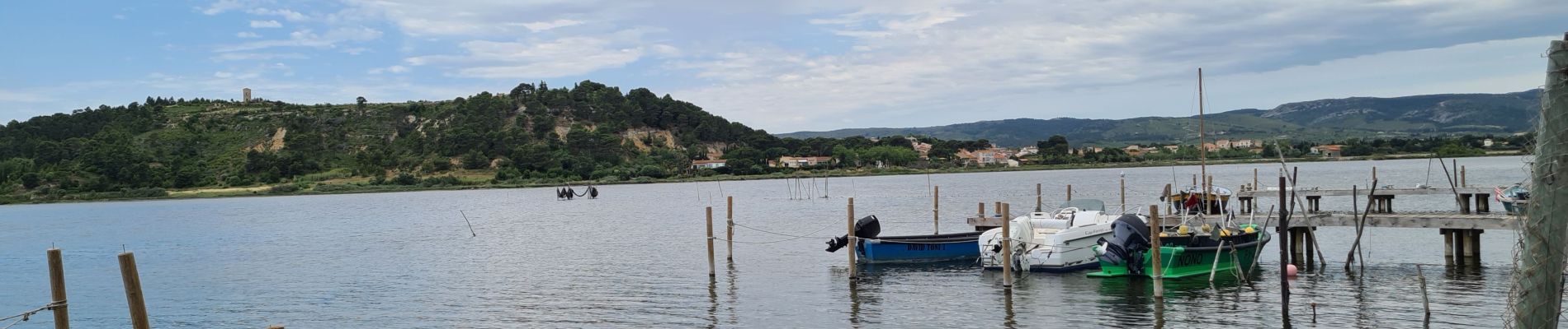 Trail Mountain bike Port-la-Nouvelle - Boucle de Bages d Aude  - Photo