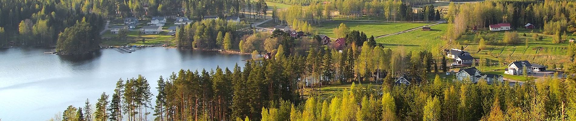 Tour Zu Fuß Viitasaari - Savivuoren luontopolku - Metsän tuulahdus - Photo