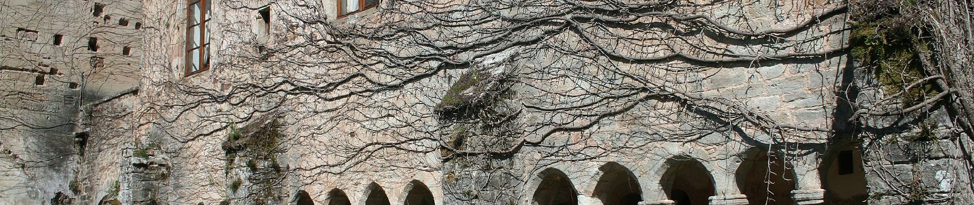 Tour Zu Fuß Sylvanès - Boucle de Sylvanès - Photo