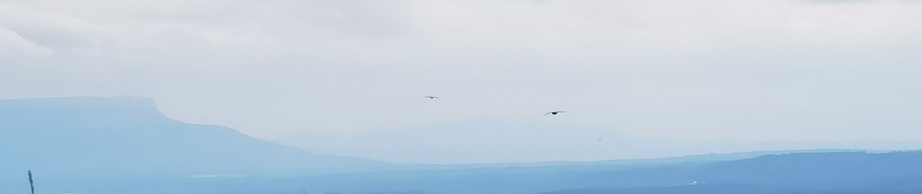 Randonnée Marche Barjols - barjols, sur le toit du monde - Photo