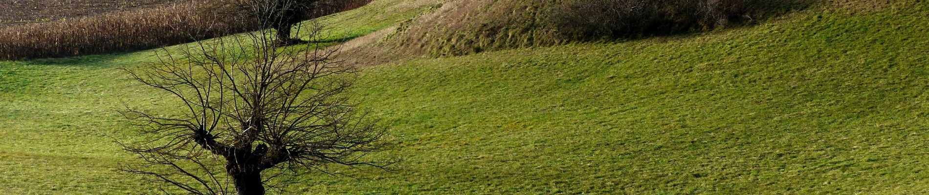 Tour Wandern Hostun - les monts du matin - Photo